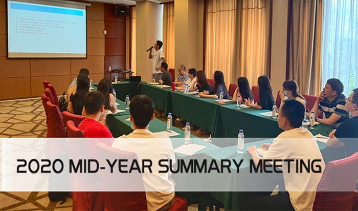 2020 MID-YEAR SUMMARY MEETING